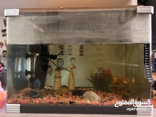 Aquarium with fish