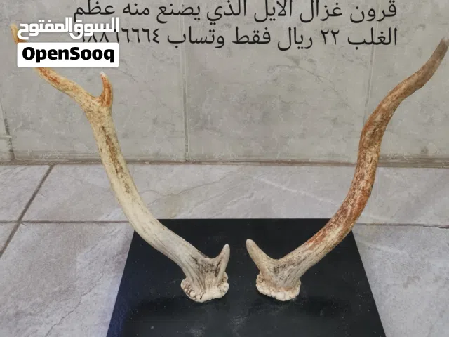 قرون غزال طبيعية