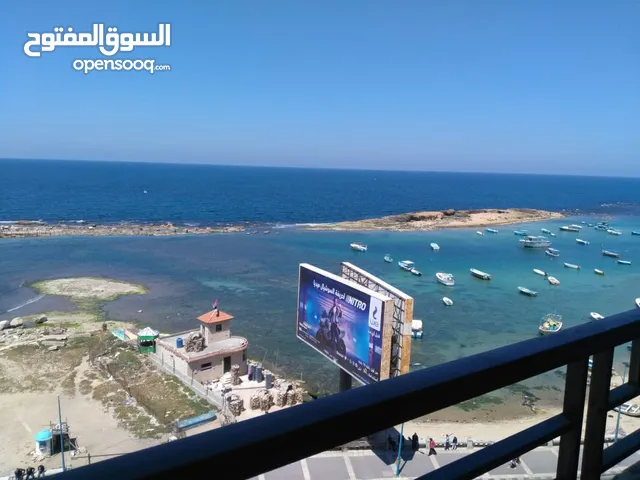 ميامي من المالك مباشره ع البحر متاحه.الان مكيفه العيد جميع الخدمات وخالد بن الوليد فيو اسطوري للبحر