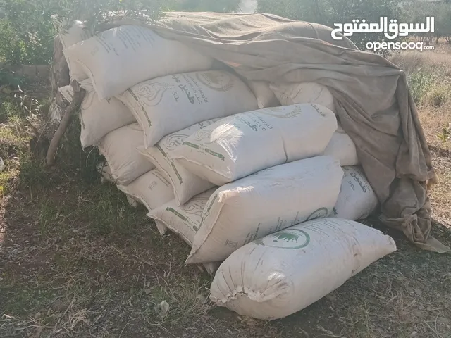 تبن بيقيا احمر