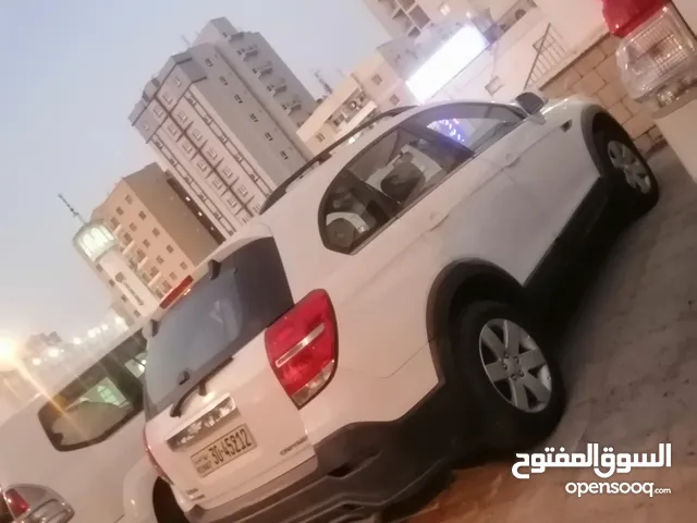 كابتيفا 2013 صدفي