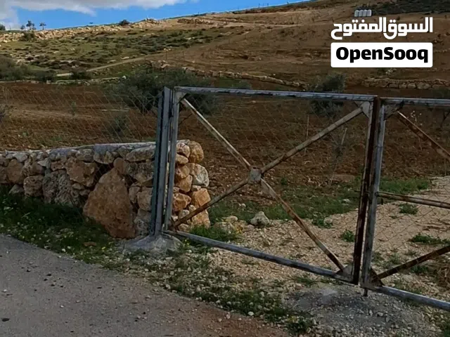 لقطه يا بلاش مزرعة  جاهزه جرش منطقة دحل شاليهات ومزارع طريق الزرقاء جرش مزرعة جاهز 3ونص بسعر 27ألف