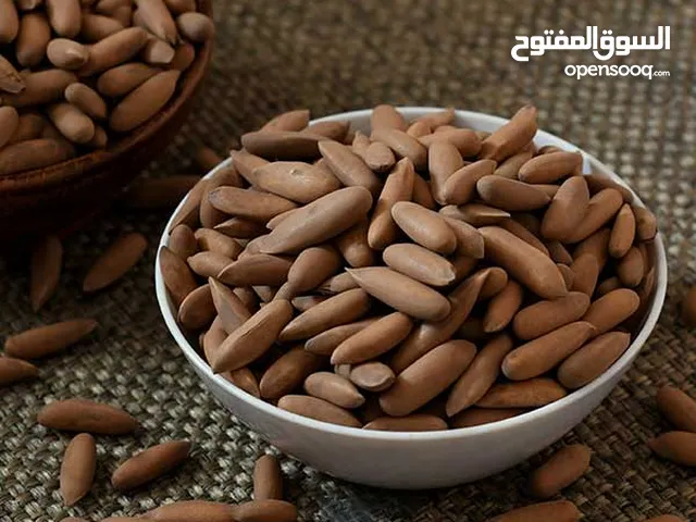 صنوبر عالي أفغانستان – كنز من قلب غابات أفغانستان  High-Quality Pine Nuts from Afghanistan