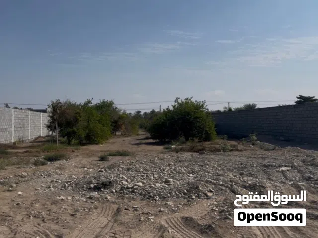 فرصه ارض زراعية في السقسوق تبعد 3 دقايق من جسر بركاء بها بئر ما عذب وبعض المزروعات وبها شارع قار