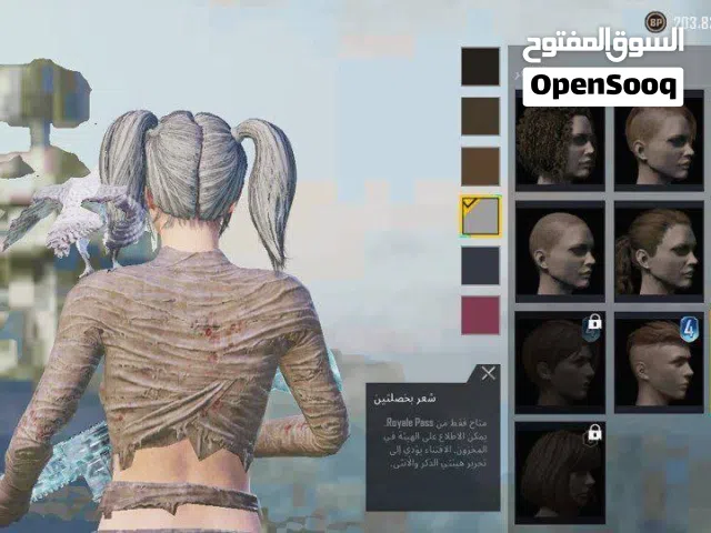 Pubg Accounts and Characters for Sale in Ubari