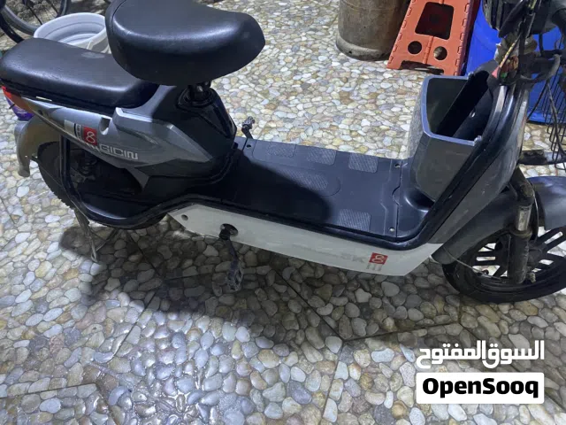 دراجة شحن حجم 14 العالمية للبيع. اضغط على الوصف للتفاصيل