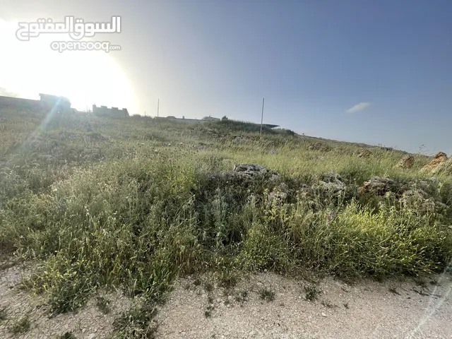 Mixed Use Land for Sale in Nablus Rujeib