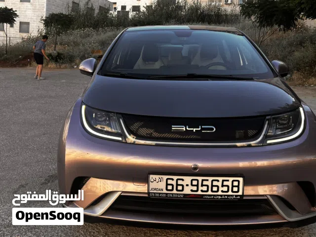 2022 بي واي دي دولفين
