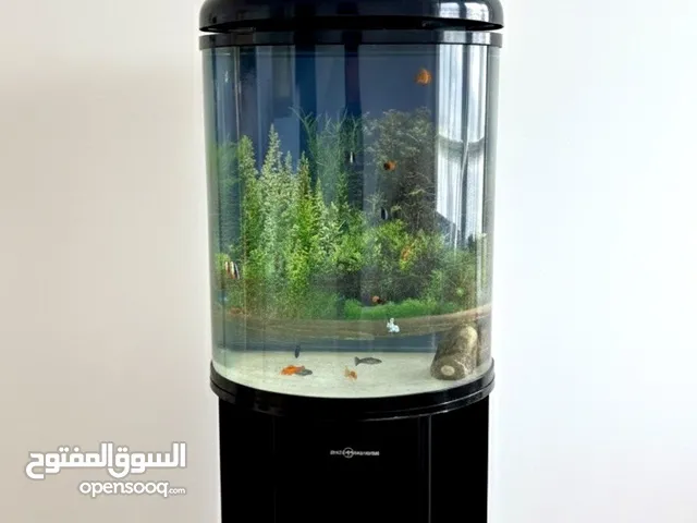 حوض سمك مع فلتر