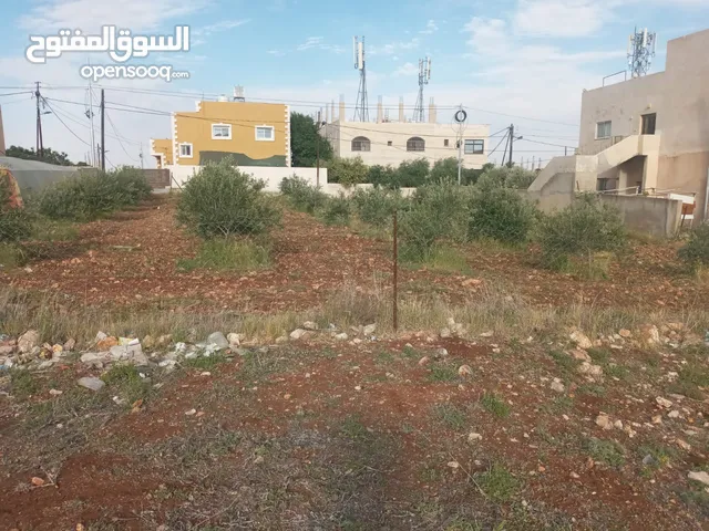 Residential Land for Sale in Irbid Kitim