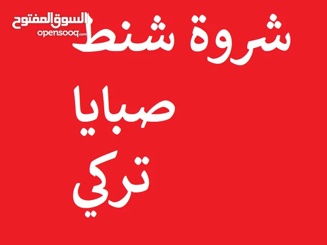 شروة 32 شنطة بسعر 600 شيكل