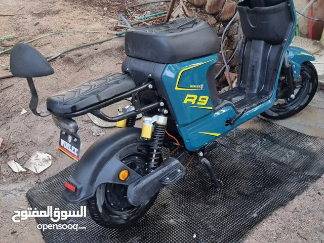 دراجة شحن ونلي WINLEE R9موديل 2024