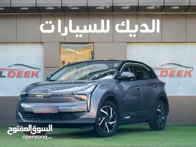 2022, Neta, U, Pro 400