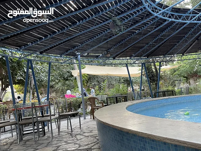 150 m2 3 Bedrooms Apartments for Rent in Nablus Al-Ameriya