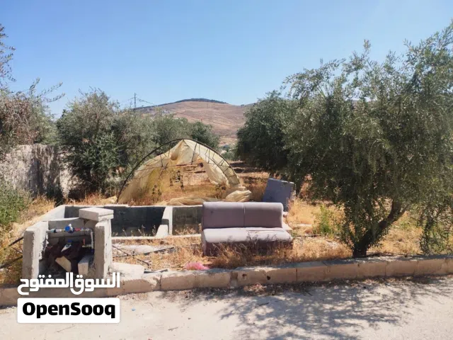 مزرعة وشالية