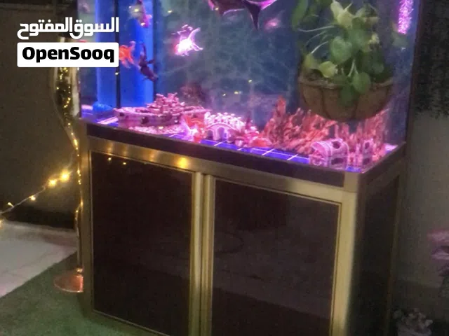 حوض حجم متر ريمونت كنترول تحكم عن بعد ماليزي كامري