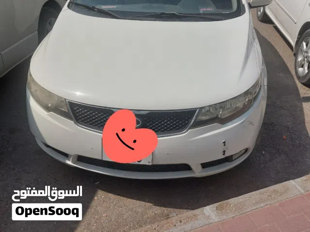 2010, Kia, Forte, Standard