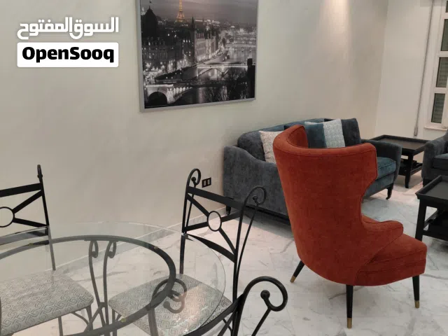 A luxurious, super deluxe furnished apartment for rent