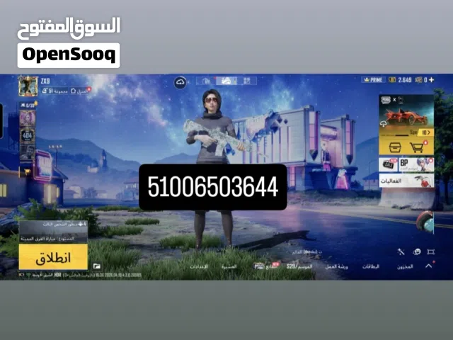 Pubg Accounts and Characters for Sale in Giza