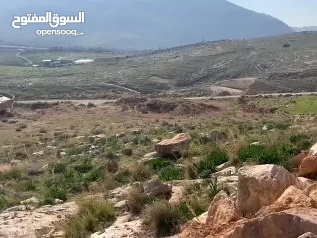 Mixed Use Land for Sale in Nablus Taluza