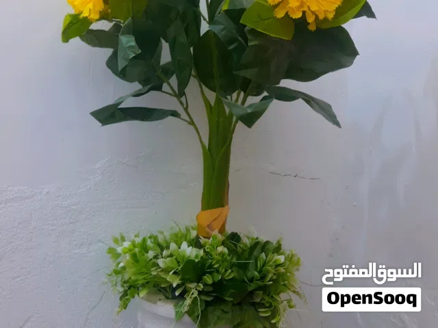 مزهريه للبيع جديده