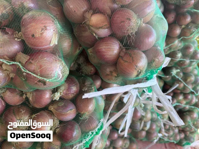 بصل انتاج الدار جوده الأحجام متوسطه سعر الكيلو 250 بيسه الكميه مفتوحه