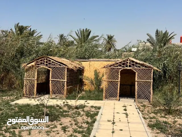 بستان في الجزيرة الرابعة 1450 متر