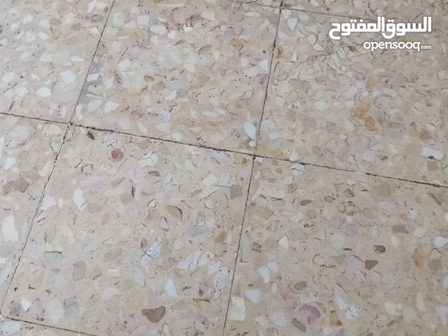 جرو روت وايلر ذكر مستوى عالي جدا بيور ميه بل ميه