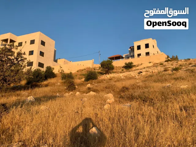 Residential Land for Sale in Amman Bahath