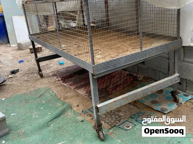 غراض منوعه للبيع