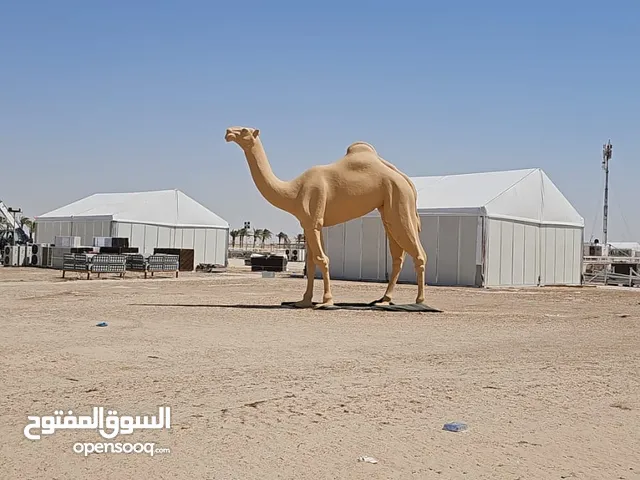 شركة ديزاين وديكور منزلى والتجارى وتصنيع المجسمات واكسسوارات