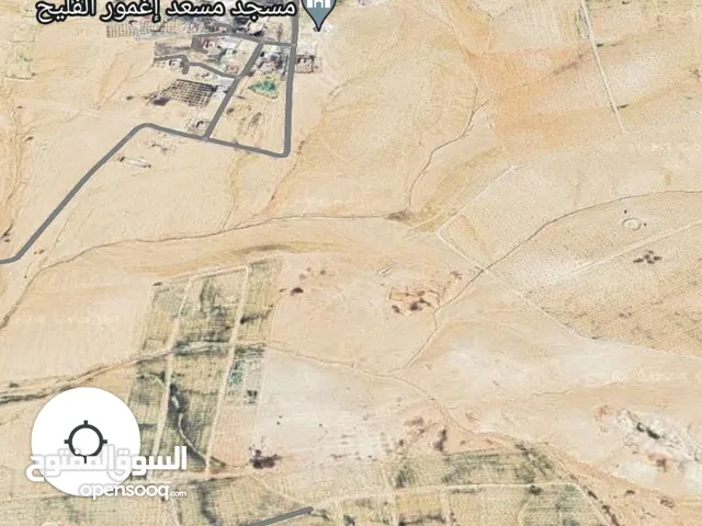 Farm Land for Sale in Amman Al-Zamila