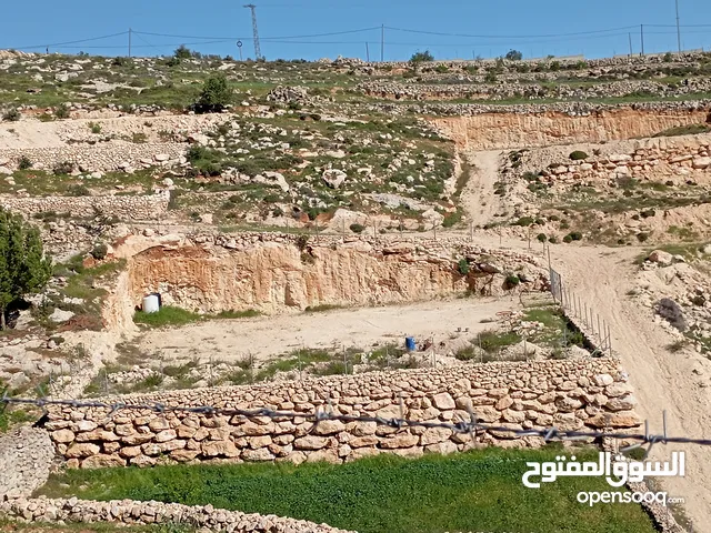 ارض للبيع بسعر مغري