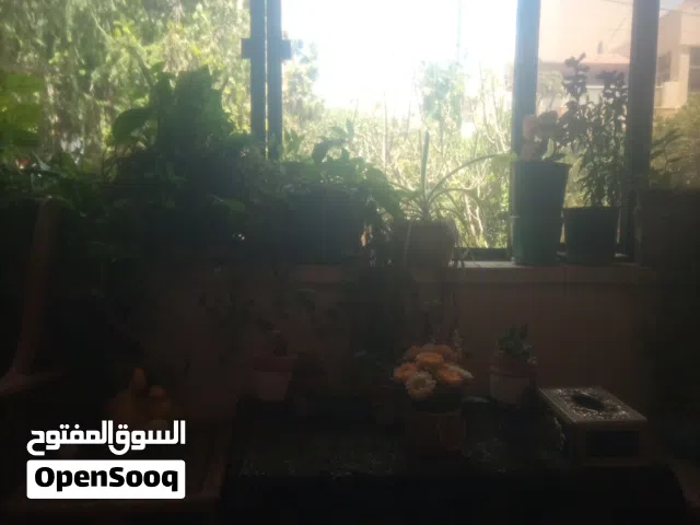 شقه 150 م للايجار في ابو السوس 3 نوم 3 حمامات