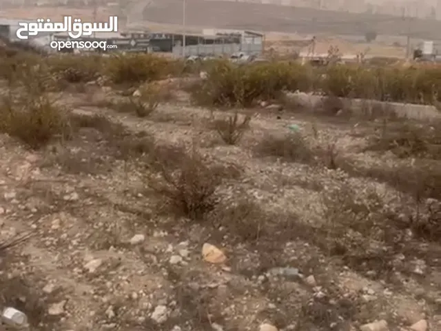 ارض للبيع في منطقه رنتيس  مساحه الارض  4دونم تصنف الف طابو سلطه