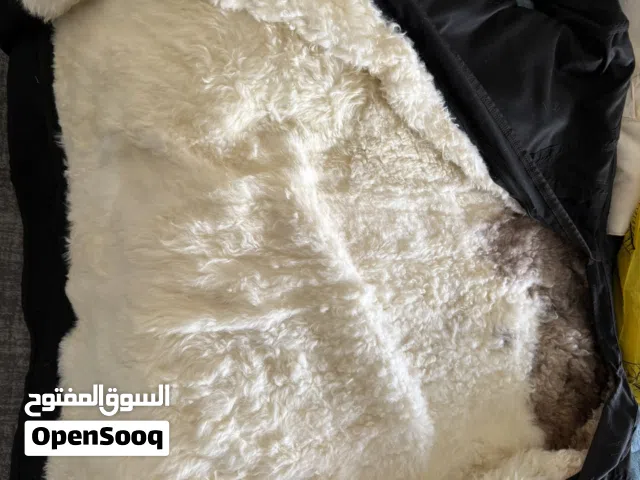 فروة طفيلي طبيعيه