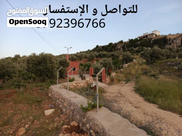 Farm Land for Sale in Jerash Soof