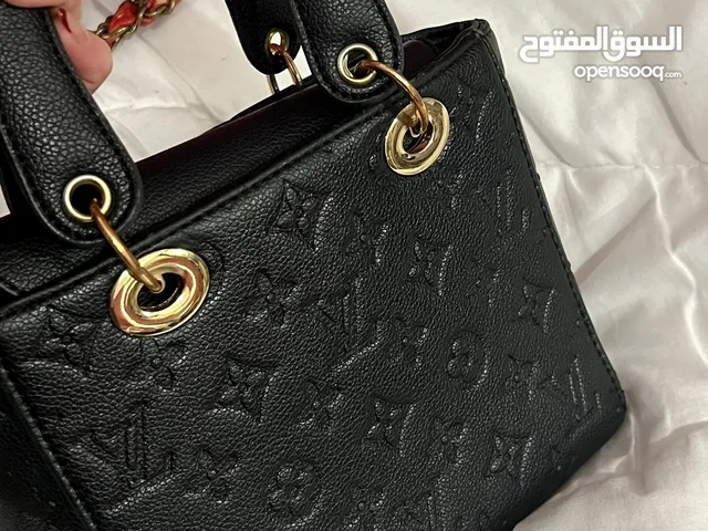 LV Bag Master Copy