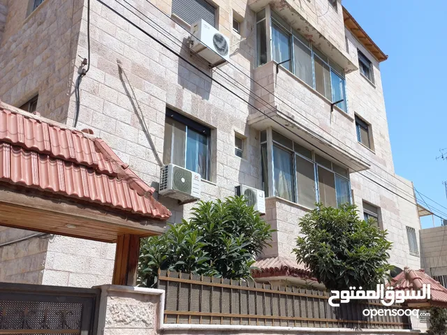 47m2 Studio Apartments for Rent in Amman Jabal Al Hussain