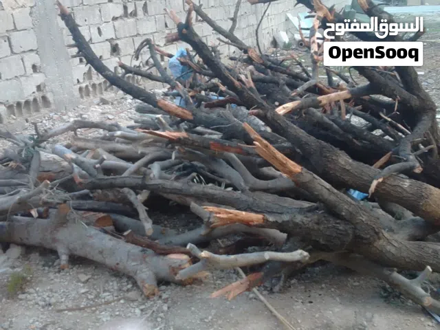 حطب للبيع قرامي ويوجد ايضا شجر واقف
