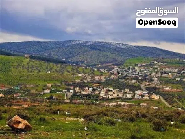 قطعة 500 متر داخل التنظيم للبيع في المسره العالوك