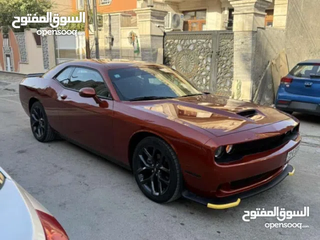 جالنجر للبيع فقط 2023