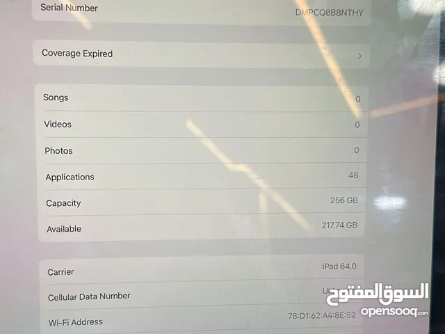Apple iPad Pro 256 GB in Cairo