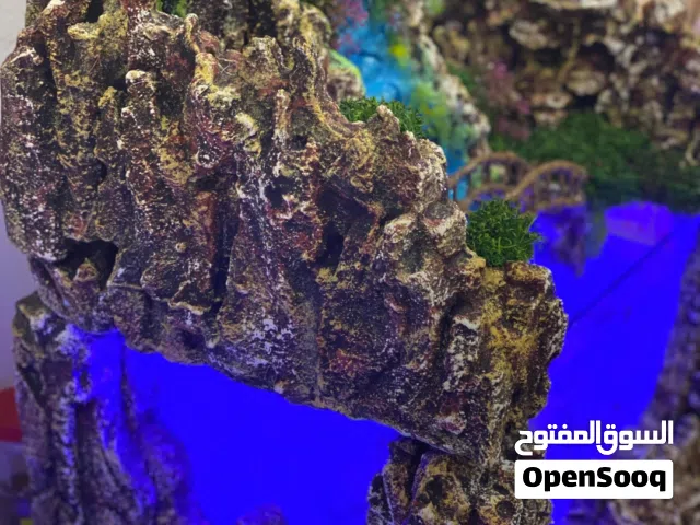 للبيع حوض سمك نظيف حيل ما فيه اي مشاكل شوف الفيديو للسوم