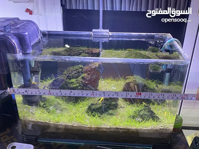 AQUARIUM COMPLETE