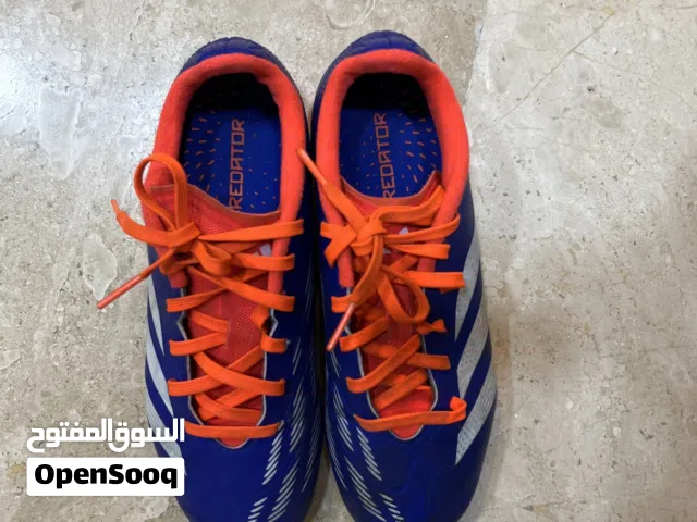 Adidas slightly  used predator shoes