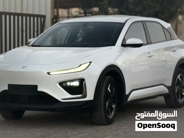 2023 Neta U Pro 400
