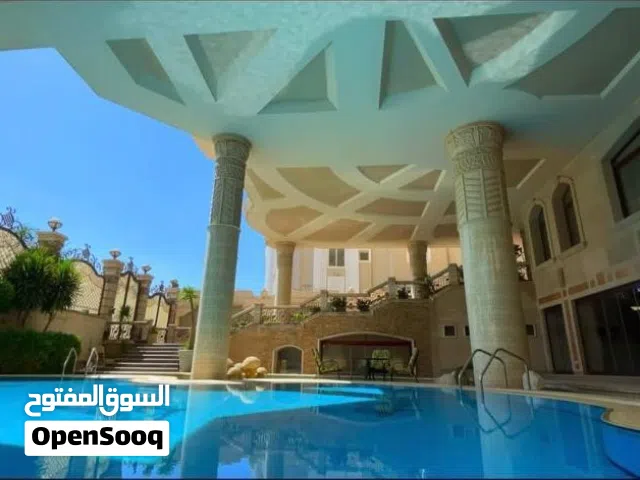 قصرررر مميز جدا