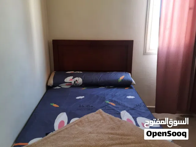 شاليهات للايجار بالعين السخنة