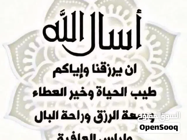 معلم لغة عربية خبرة